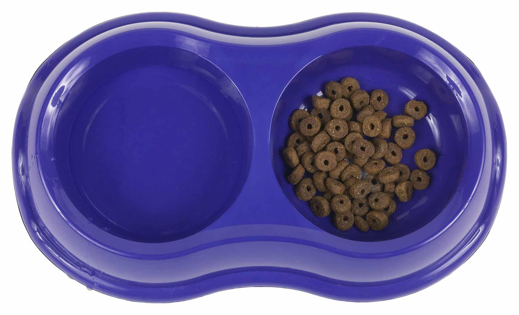 Best Dog Food for Boston Terriers [2024 Review] TerrierHub