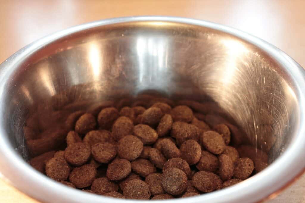 Dry dog food pellets in a stainless steel dog bowl