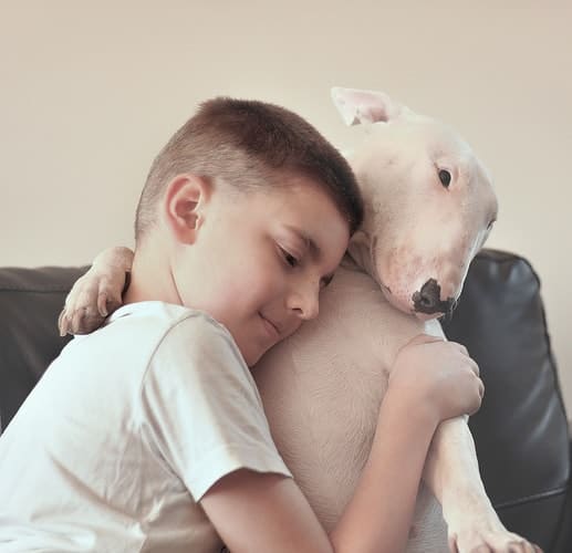 Boy hugging his English Bull Terrier