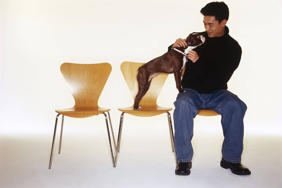 Man with Boston Terrier