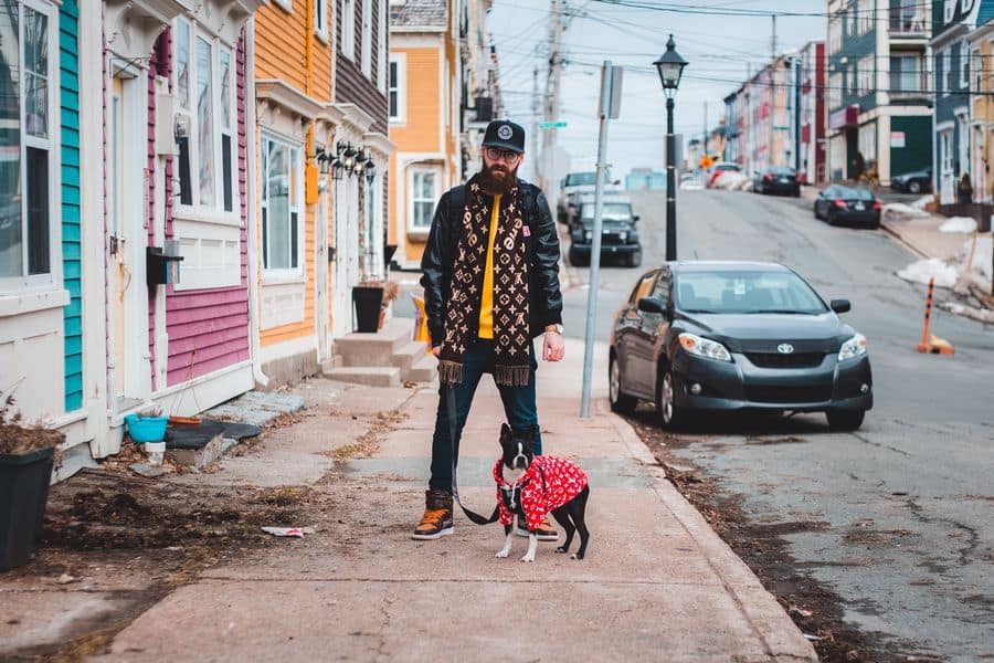 Man walking his Boston Terrier during cold weather