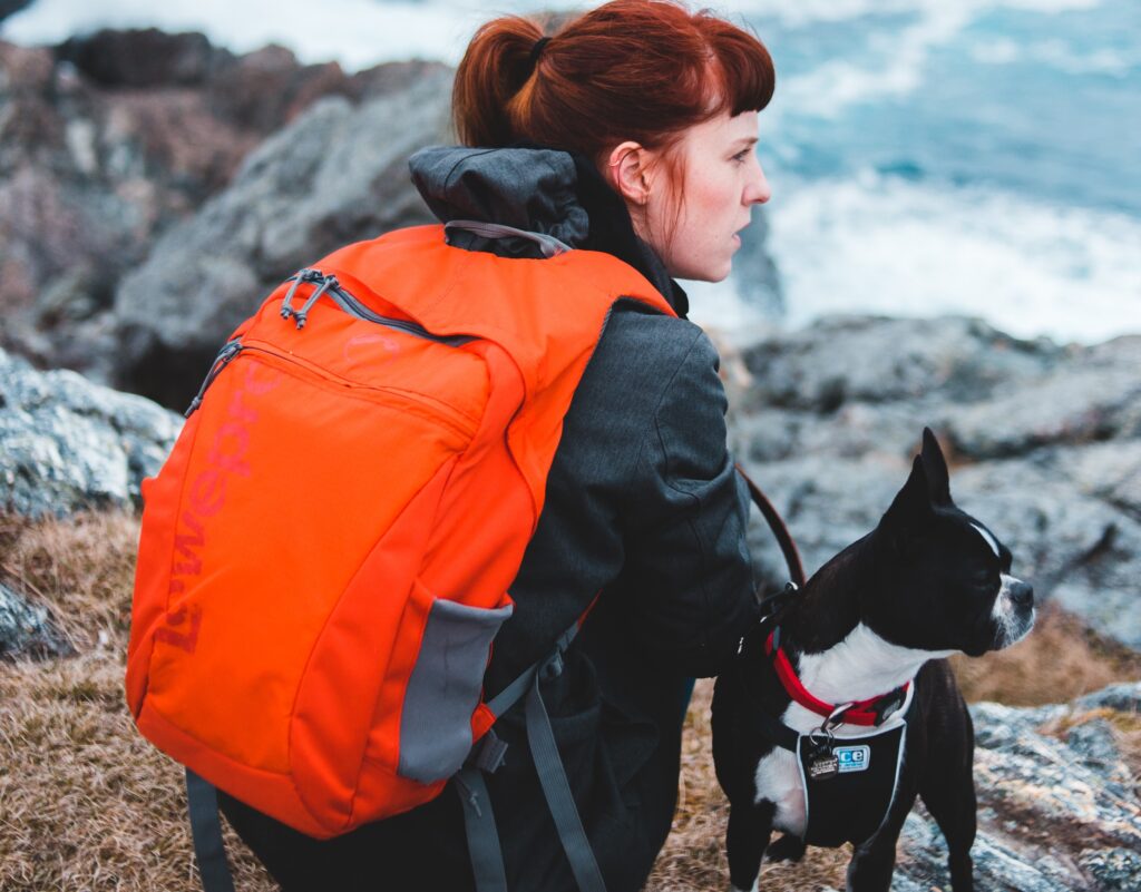 A person carrying an orange bag with a Boston Terrier