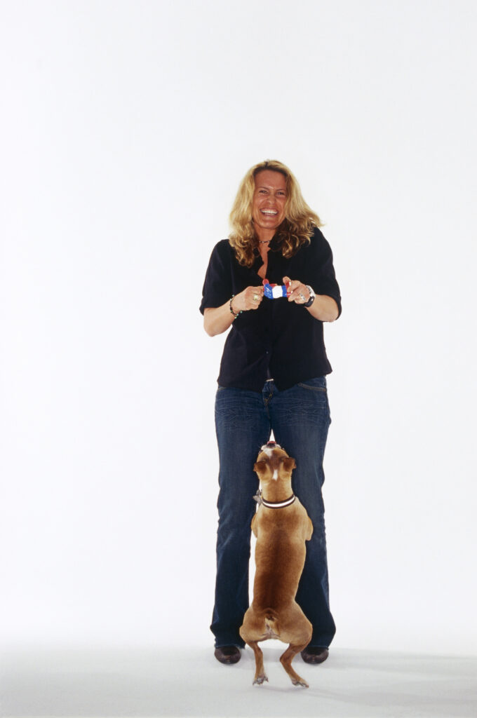 Boston Terrier standing in front of woman