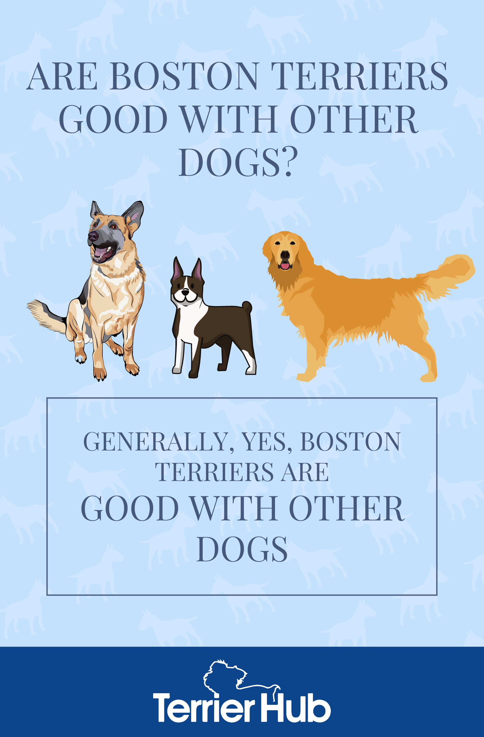 Are Boston Terriers Good With Other Dogs? Terrier Hub