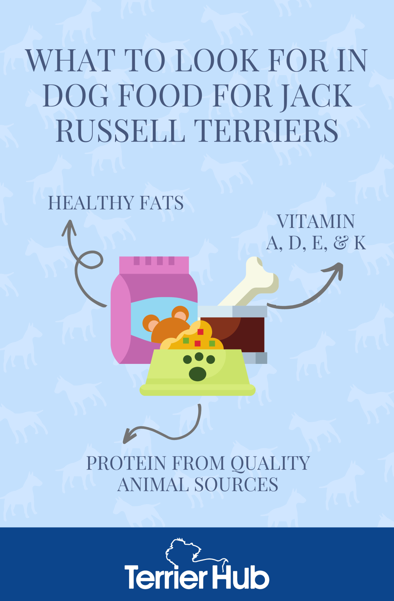 Best Dog Food for Jack Russell Terriers [2024 Review] TerrierHub