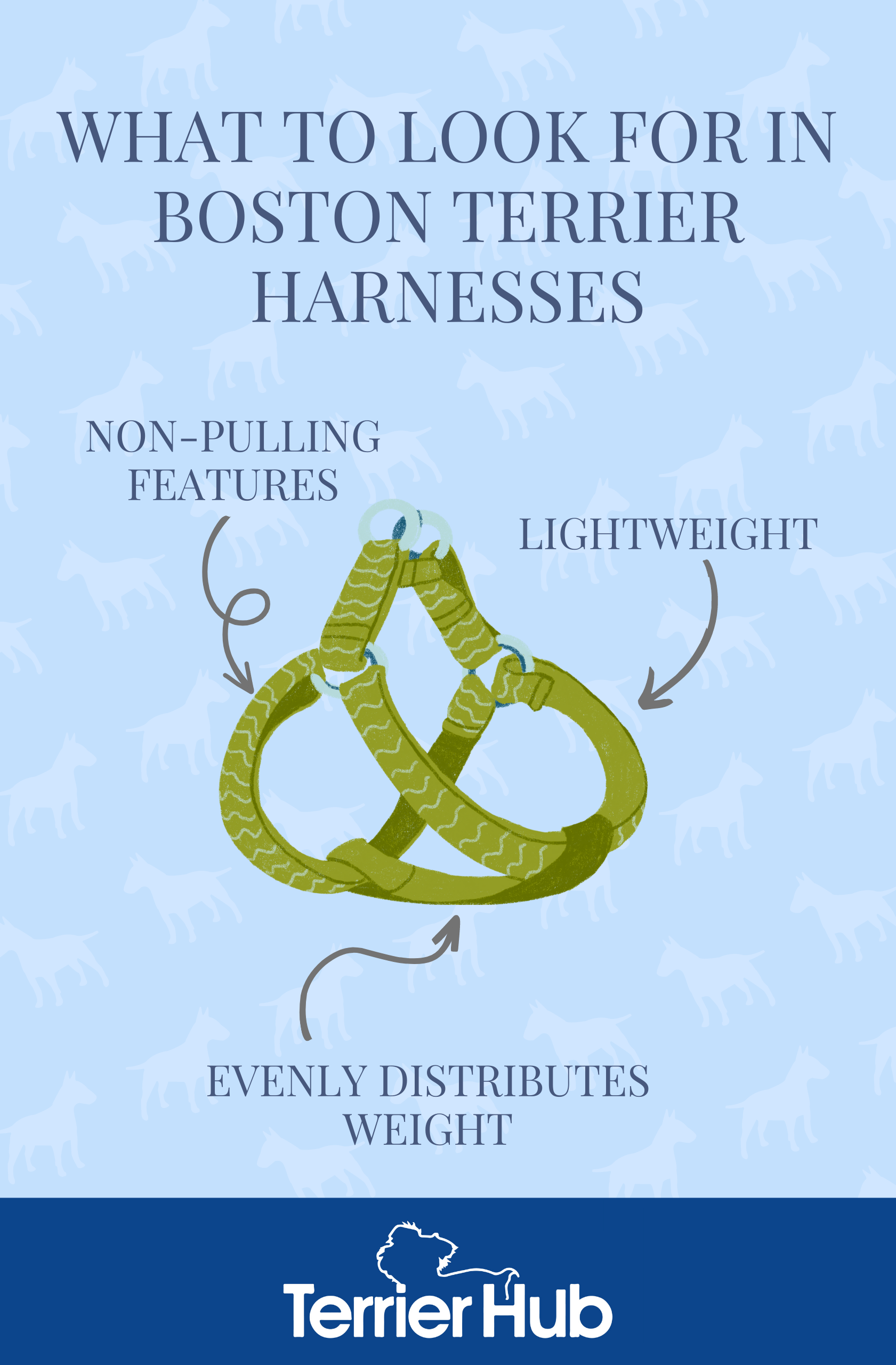 Best Harness for a Boston Terrier [2024 Review] TerrierHub