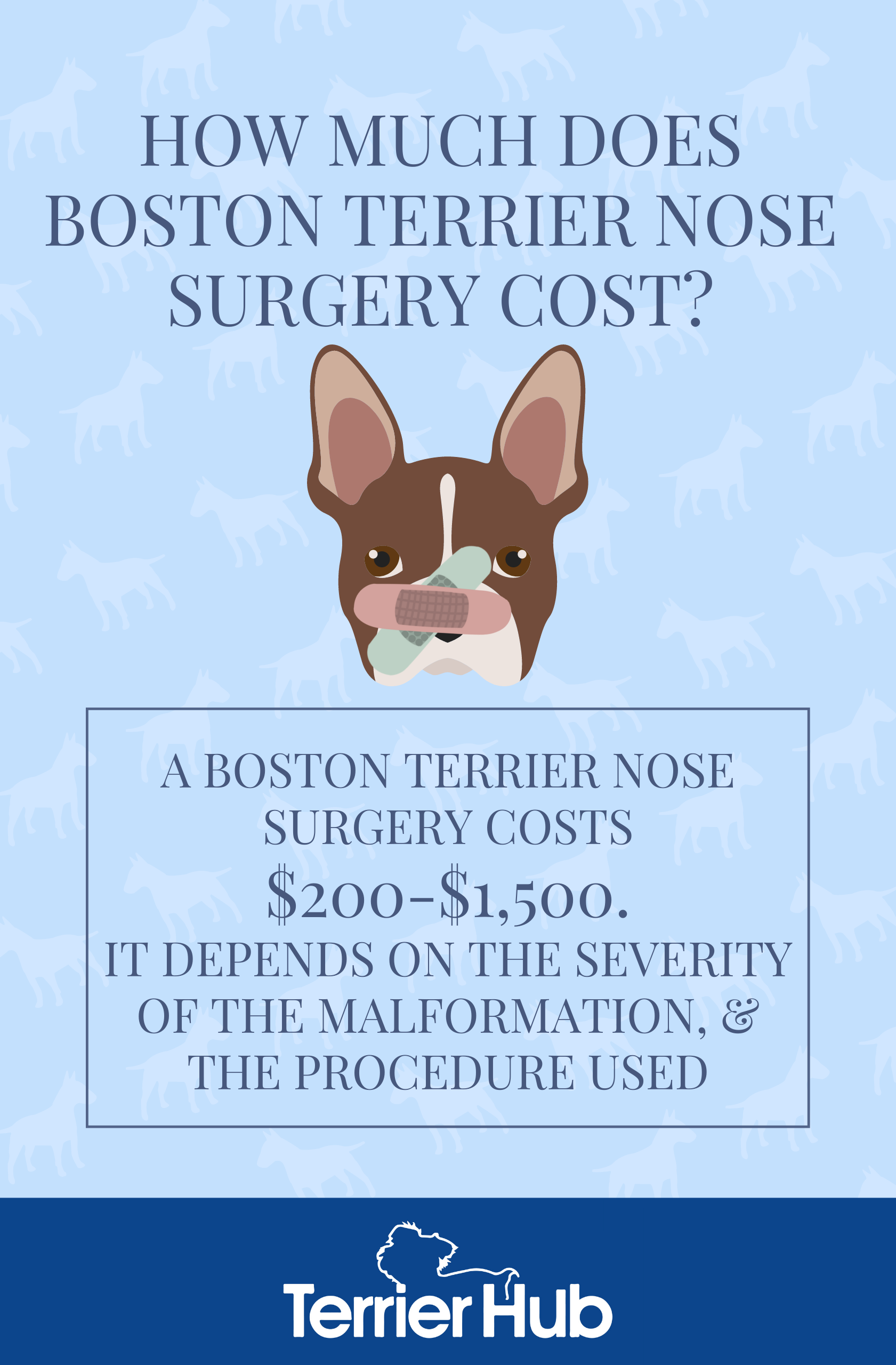 How Much Does Boston Terrier Nose Surgery Cost? TerrierHub