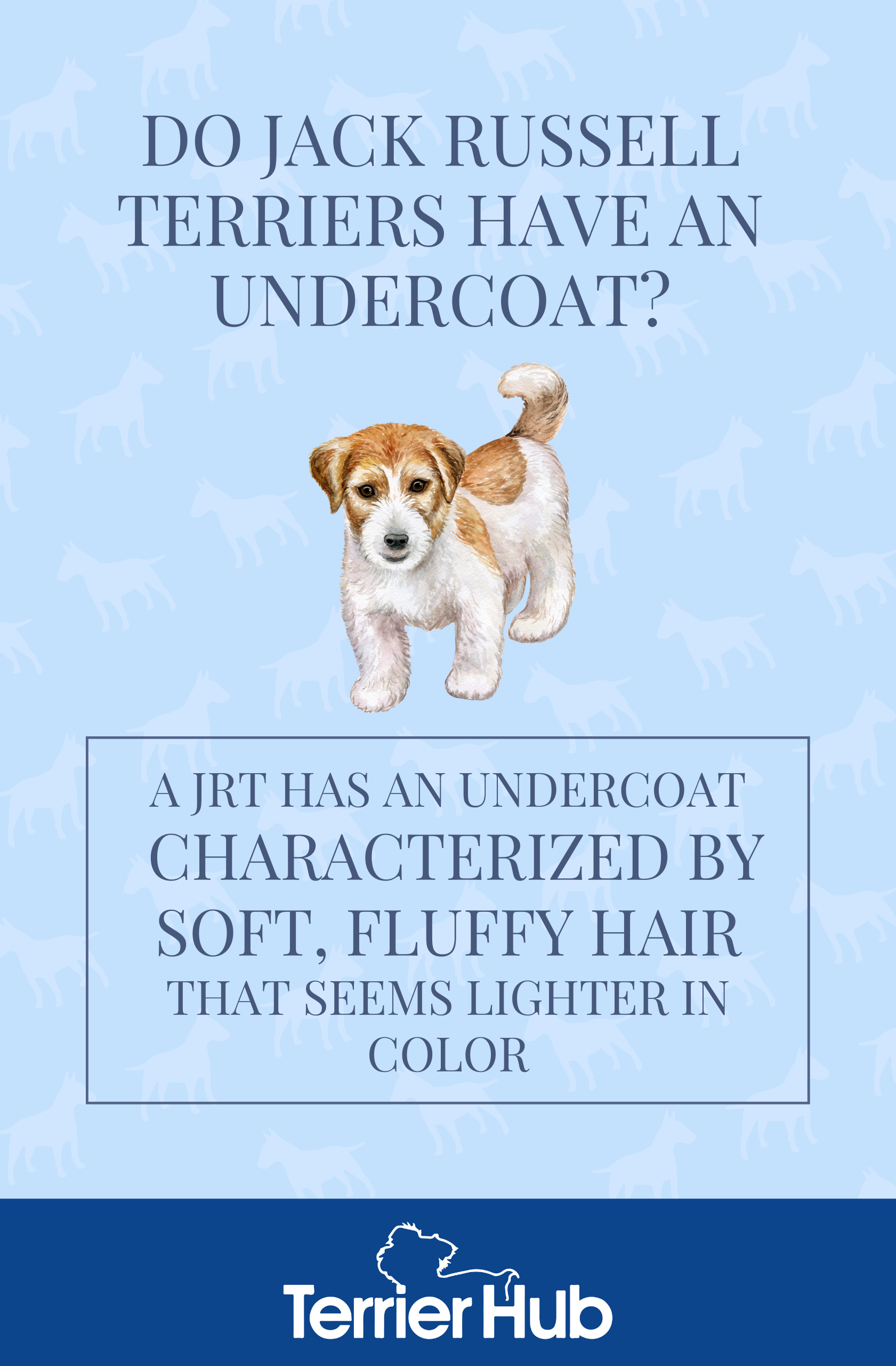 Do Jack Russell Terriers Have an Undercoat? Terrier Hub