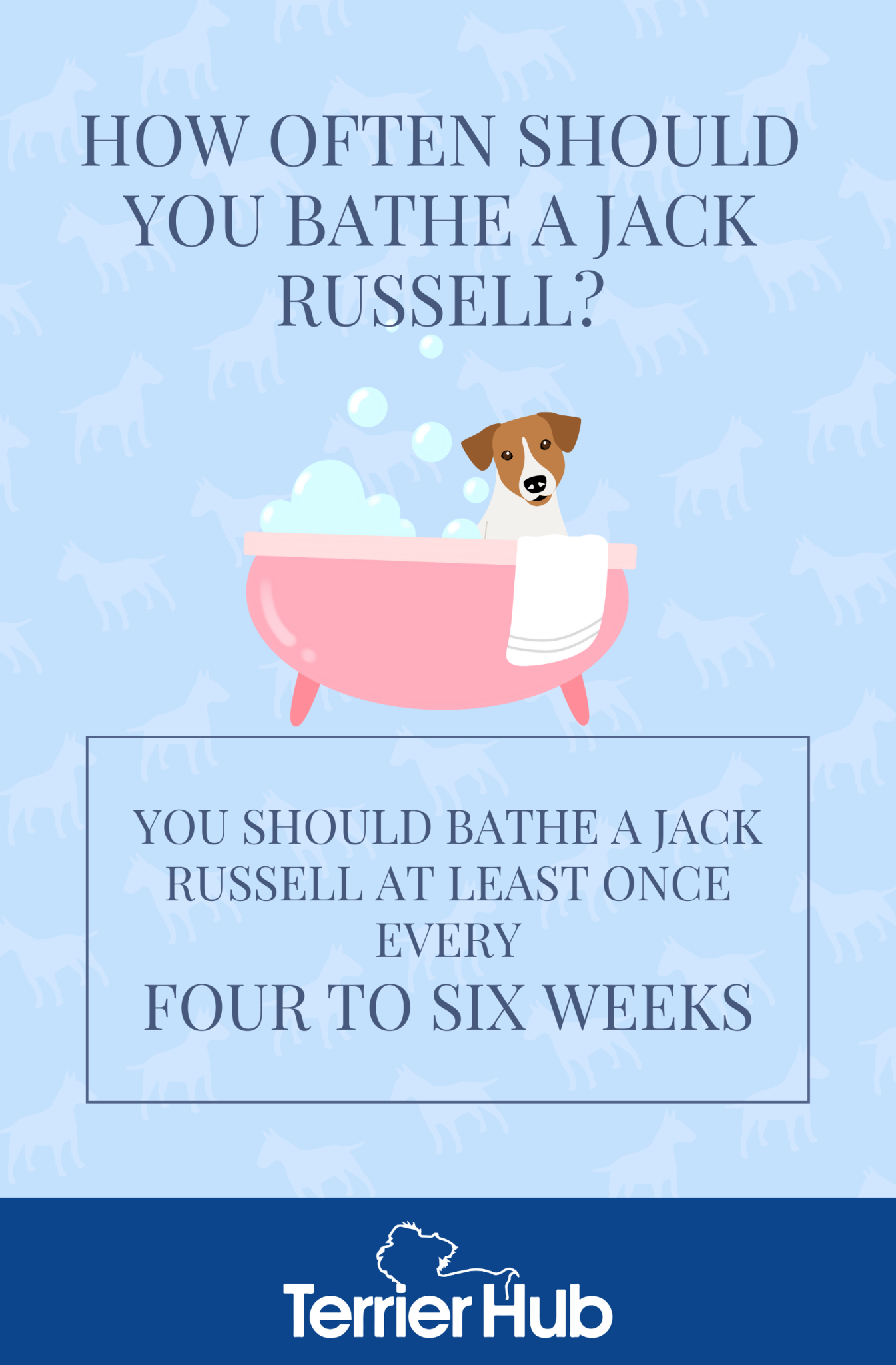 How Often Should You Bathe a Jack Russell? Terrier Hub