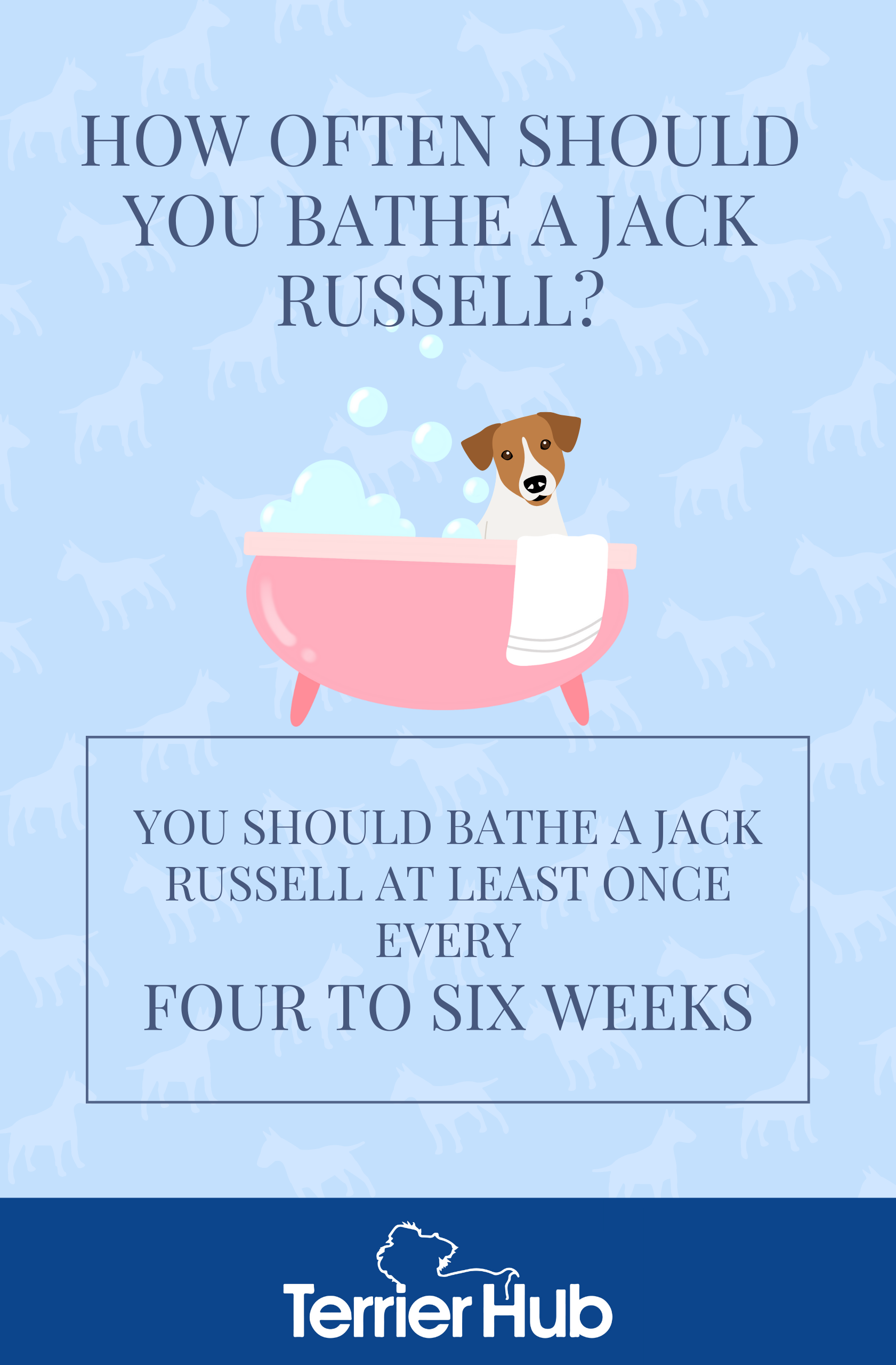 How Often Should You Bathe a Jack Russell? Terrier Hub