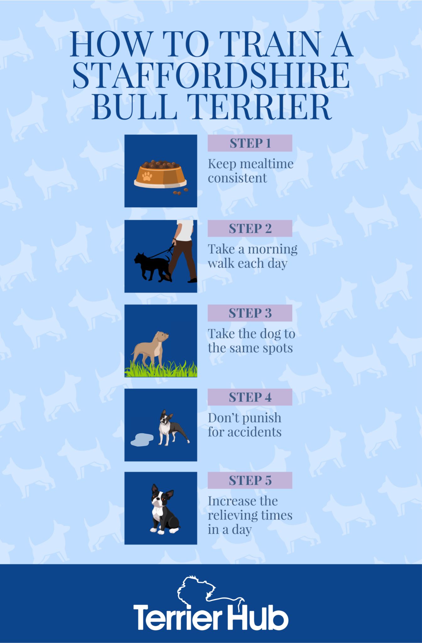 How To Train A Staffordshire Bull Terrier Terrier Hub