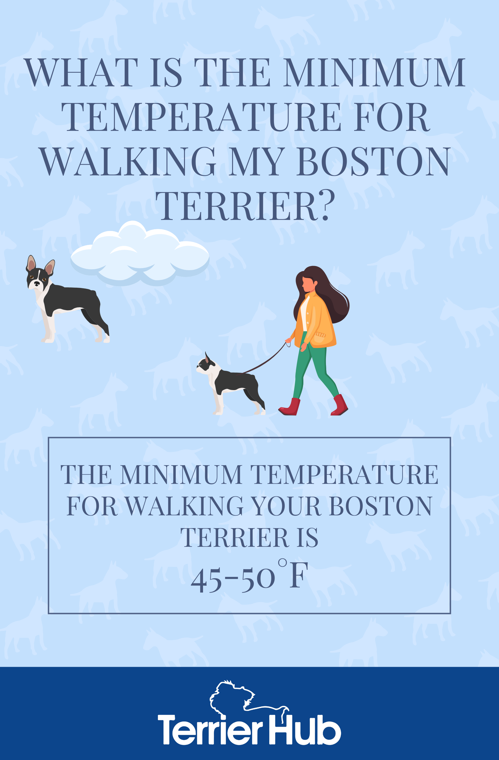What Is the Minimum Temperature for Walking My Boston Terrier