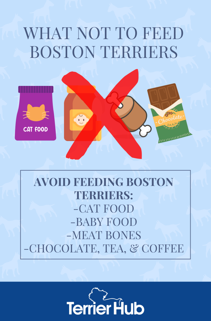 Graphic image of pet food with an X sign over them with a text explaining what type of food not to give to Boston Terriers