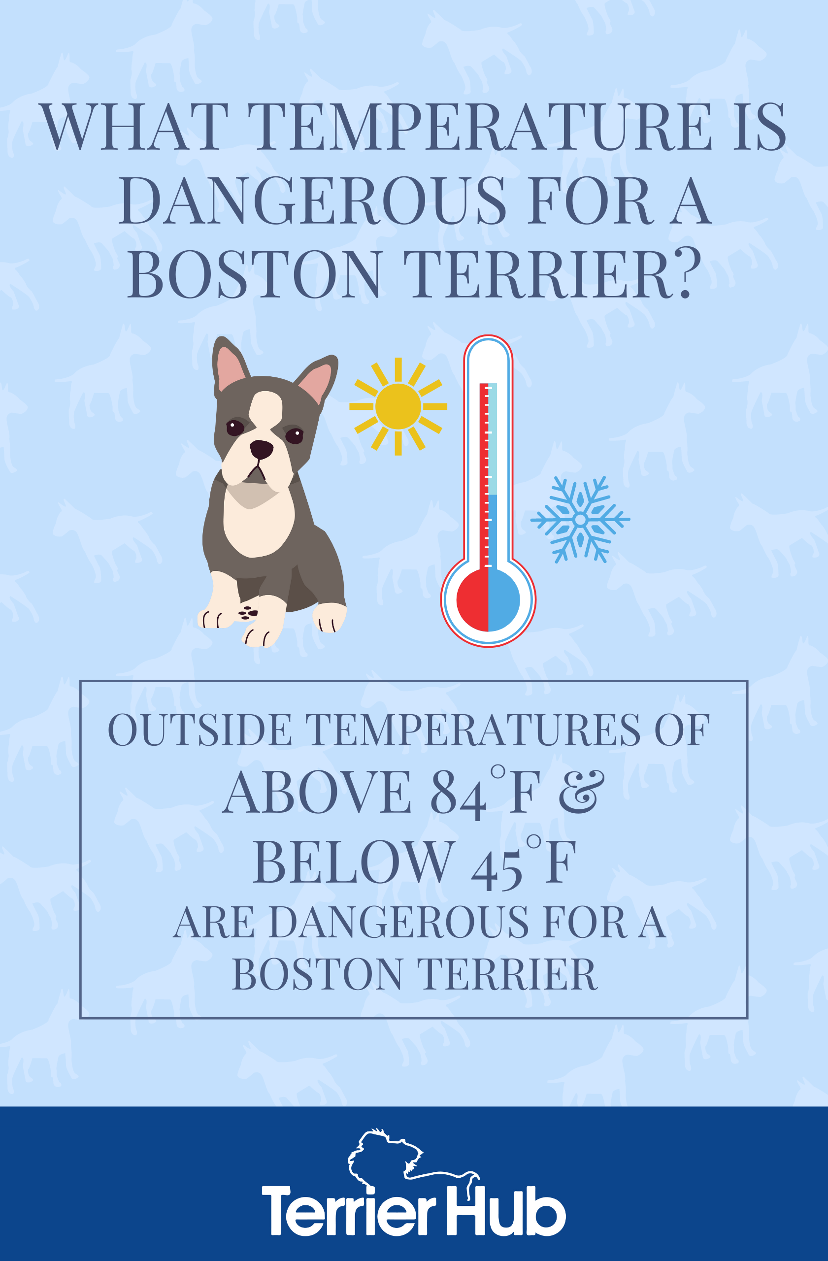 What Outside Temperature Is Dangerous For a Boston Terrier? Terrier Hub