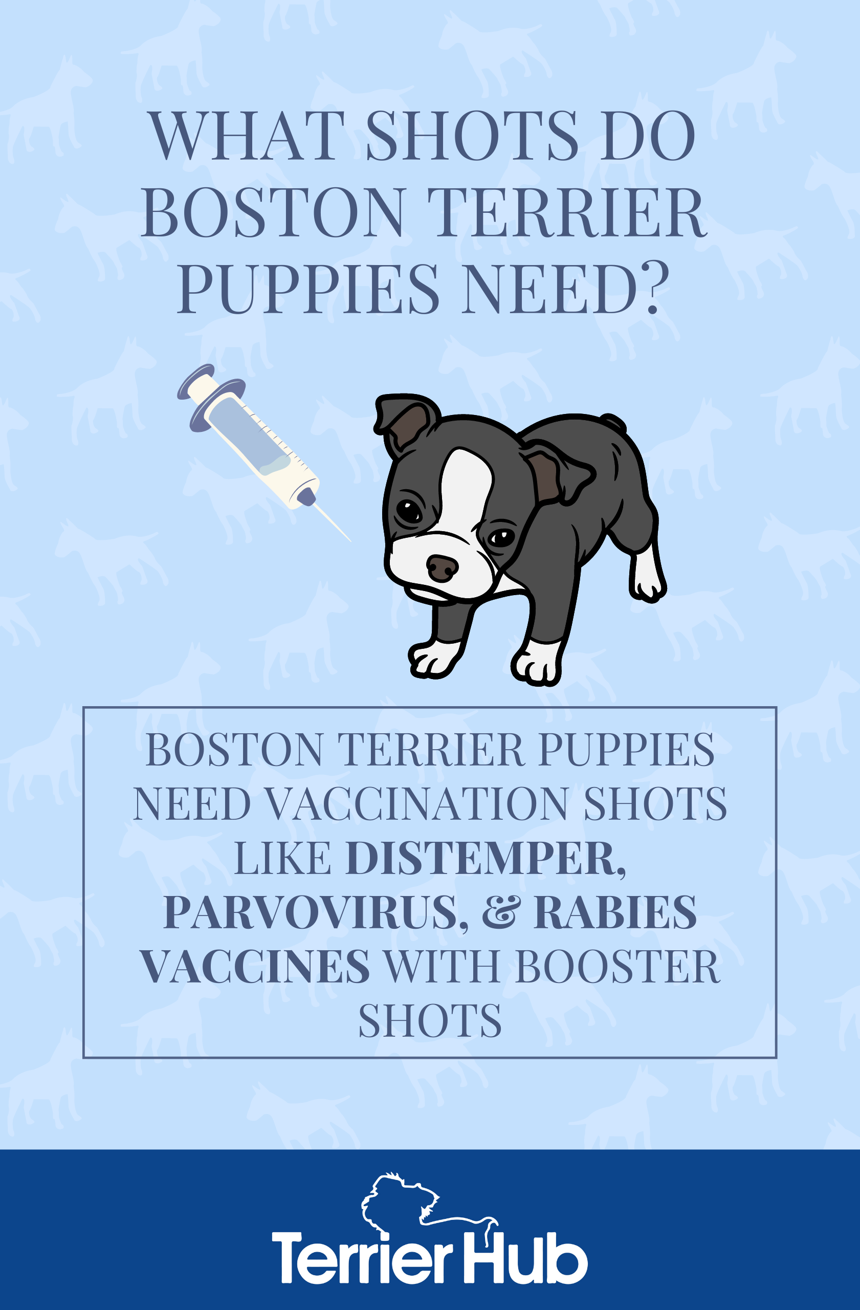 What Are the Shots a Boston Terrier Puppy Needs? Terrier Hub