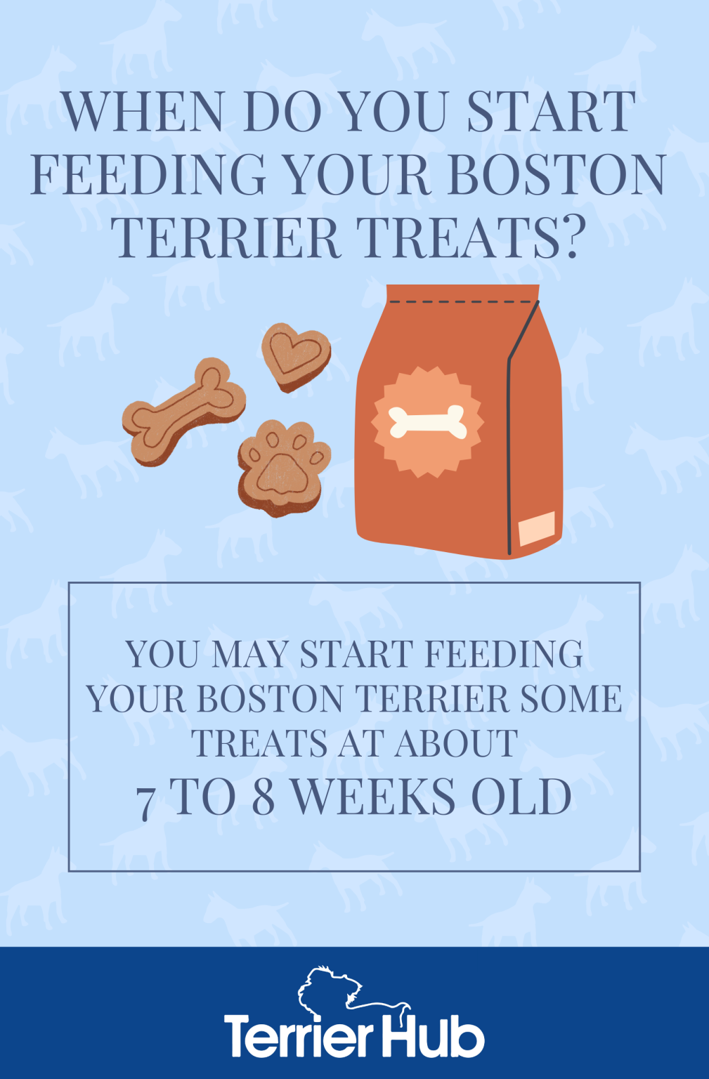 When Do You Start Feeding Your Boston Terrier Treats? Terrier Hub