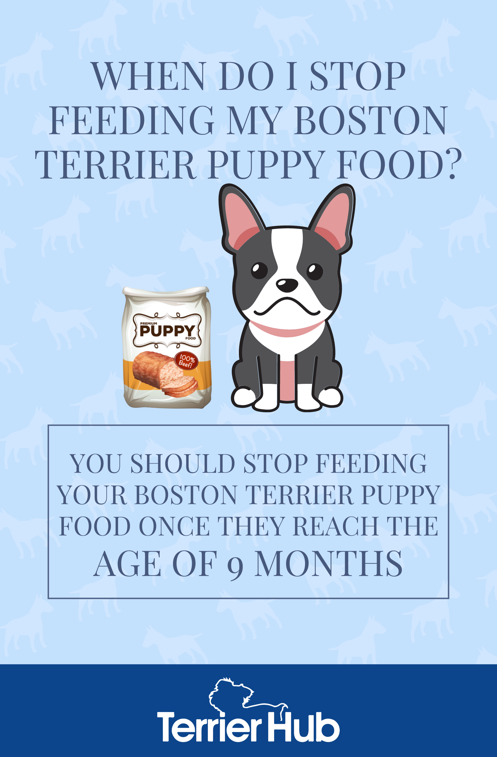 When Do I Stop Feeding My Boston Terrier Puppy Food? Terrier Hub