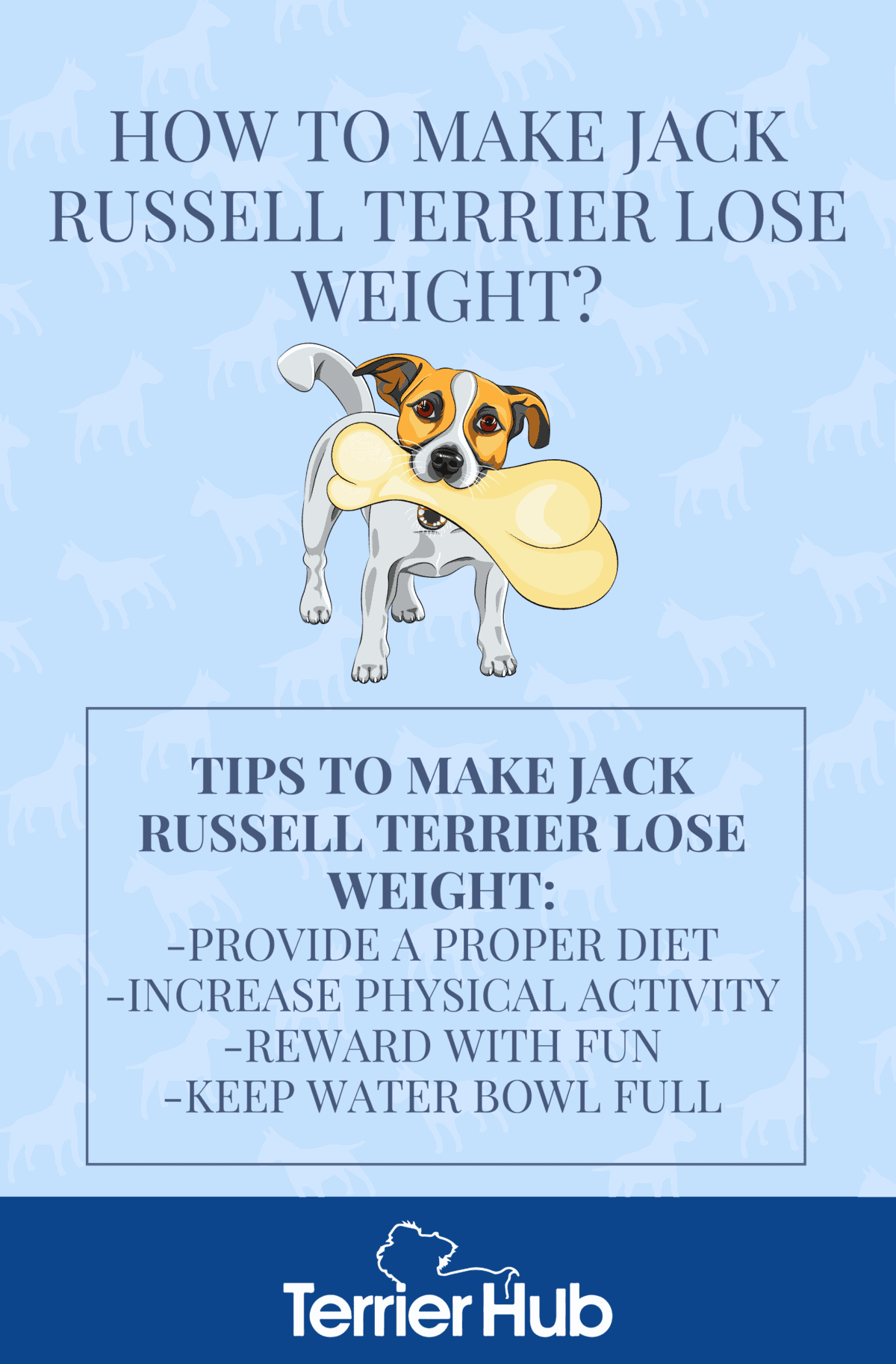 How to Make Jack Russell Terrier Lose Weight Terrier Hub