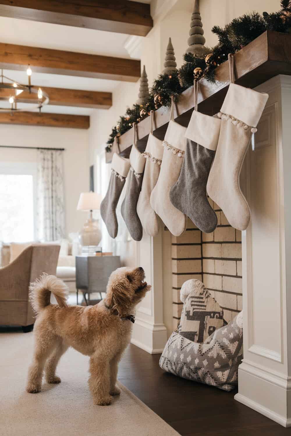 A cozy living room with felt Christmas stockings hanging above a fireplace, and a dog looking up at them.