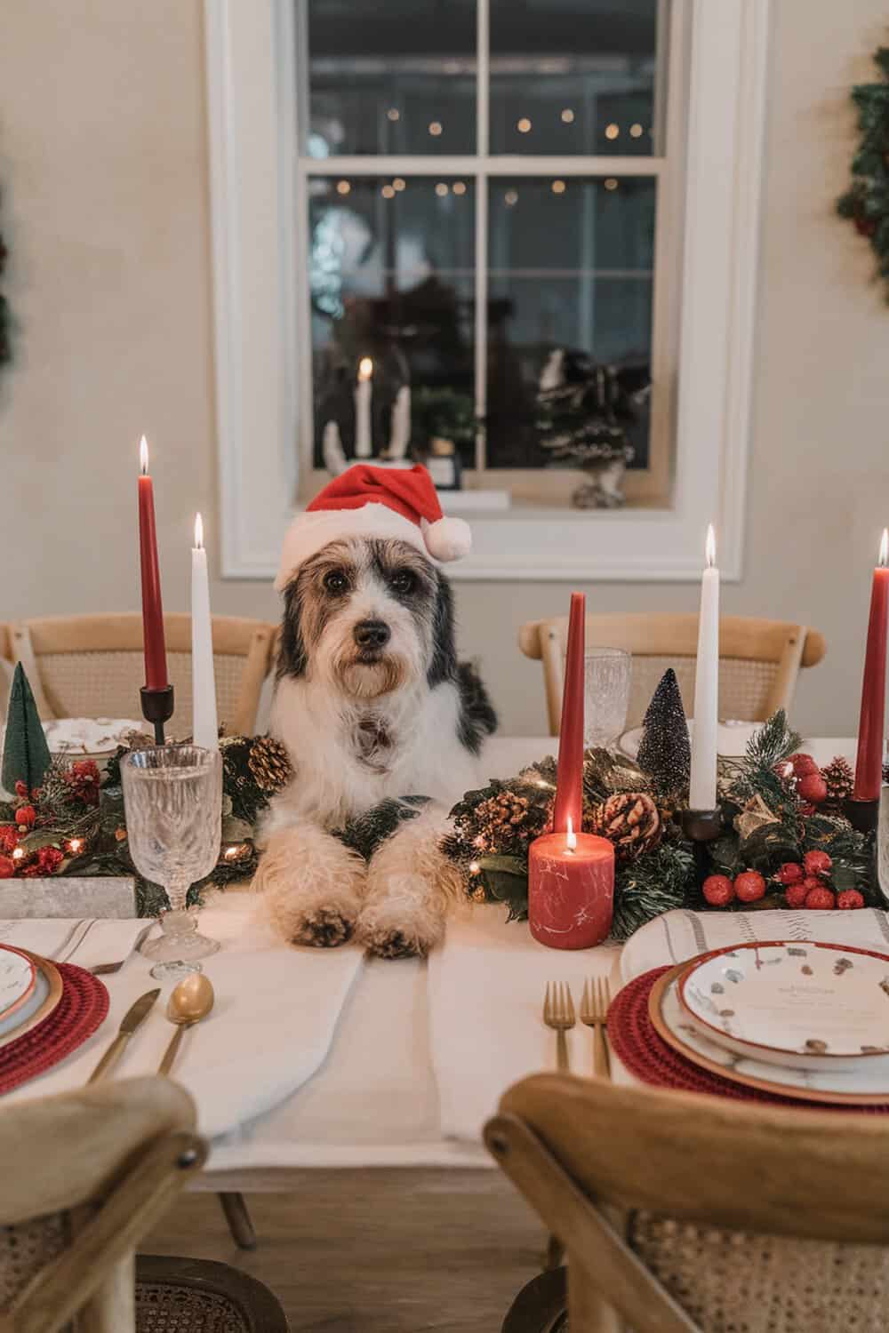 A dog wearing a Santa hat sitting at a beautifully decorated Christmas table with candles and festive decor.