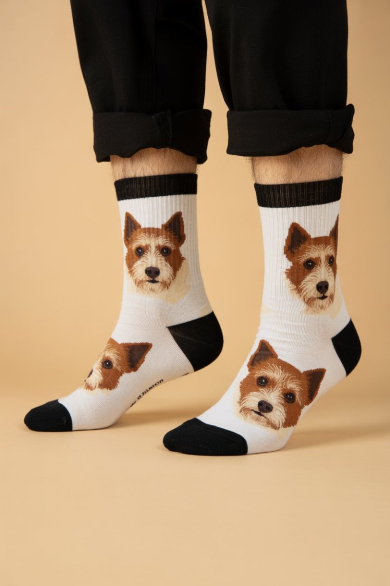 A product photo of custom dog-themed socks worn on someone's legs, showing both feet.