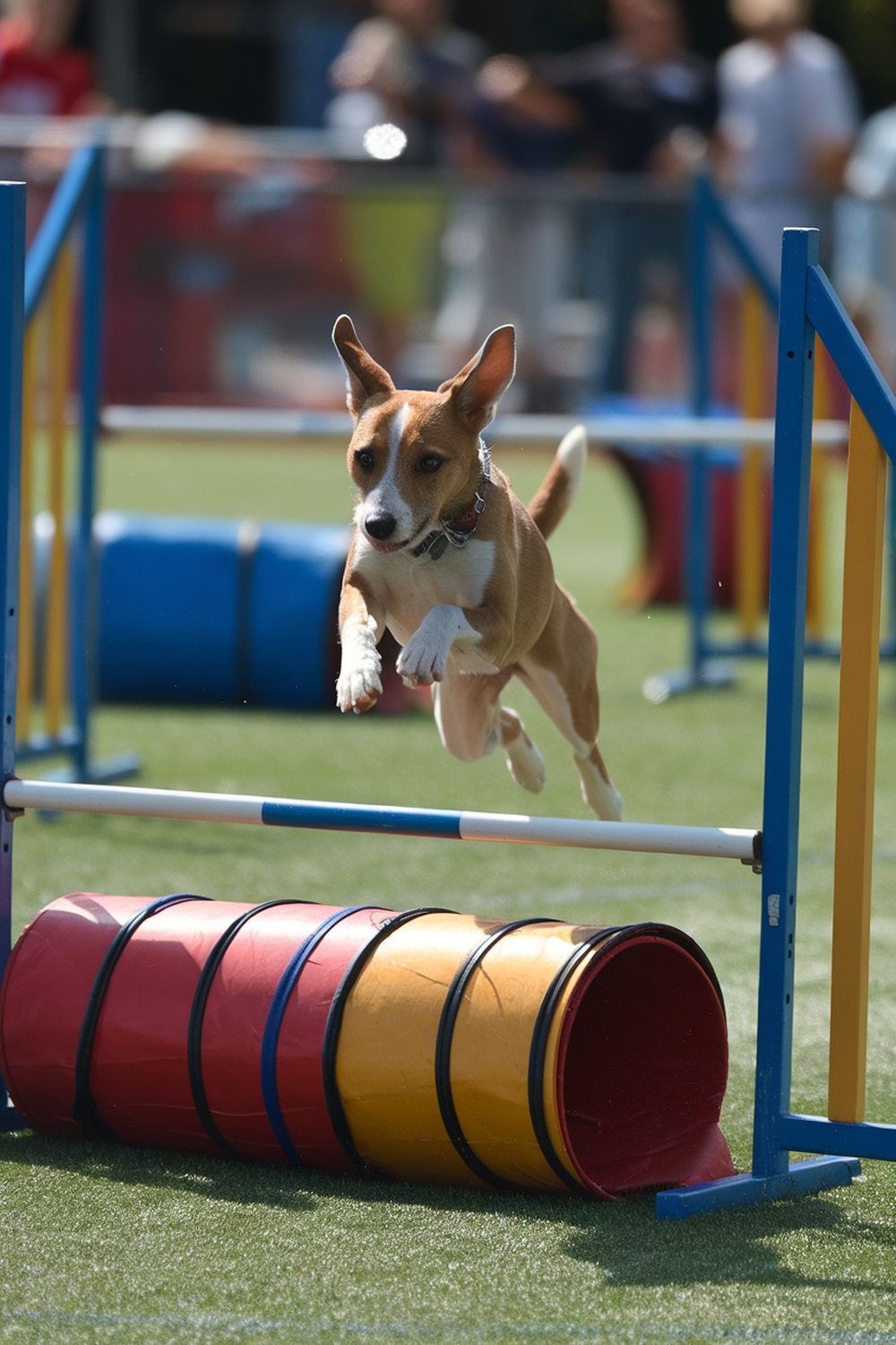 A Fox Terrier mix dog jumping over an obstacle in an agility course.