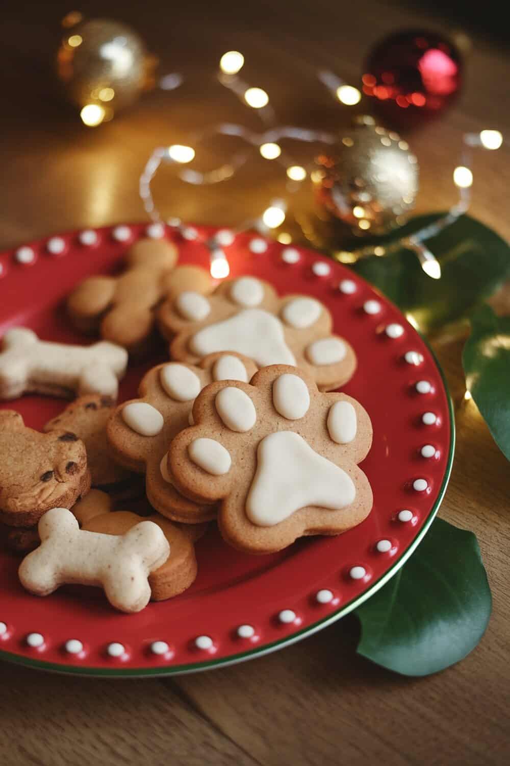 A plate of dog-shaped cookies decorated with white icing, perfect for Christmas.