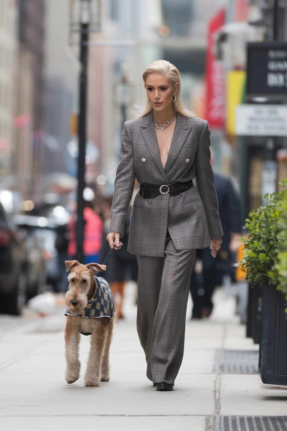 A stylish person walking an Airedale Terrier in the city.