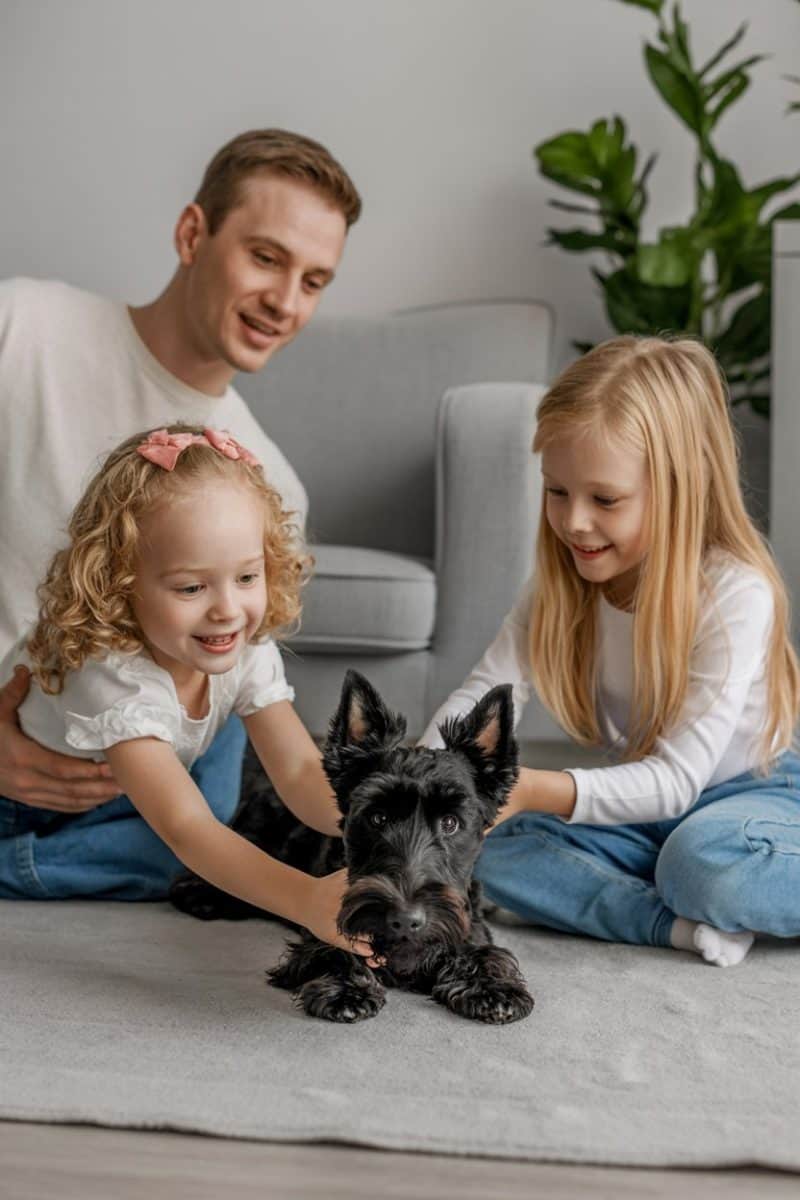 A caucasian family with a black Scottish Terrier dog.
