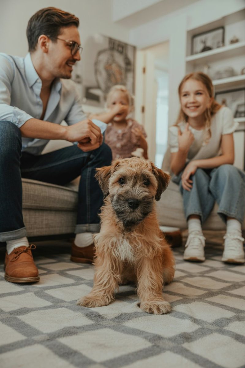 A family scene with a Wheaten Terrier dog in the foreground. 