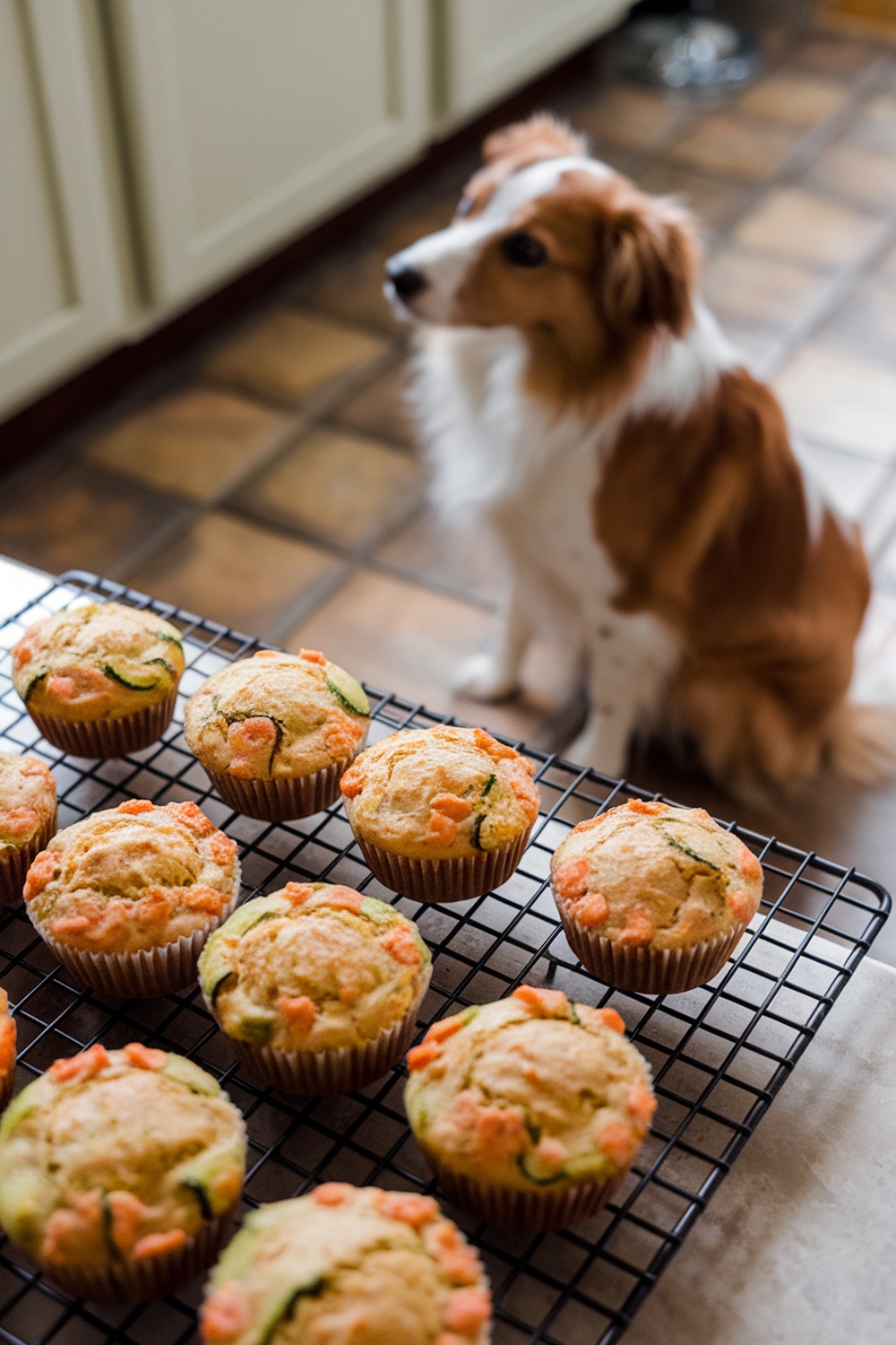 A plate of zucchini and carrot muffins with a dog in the background.