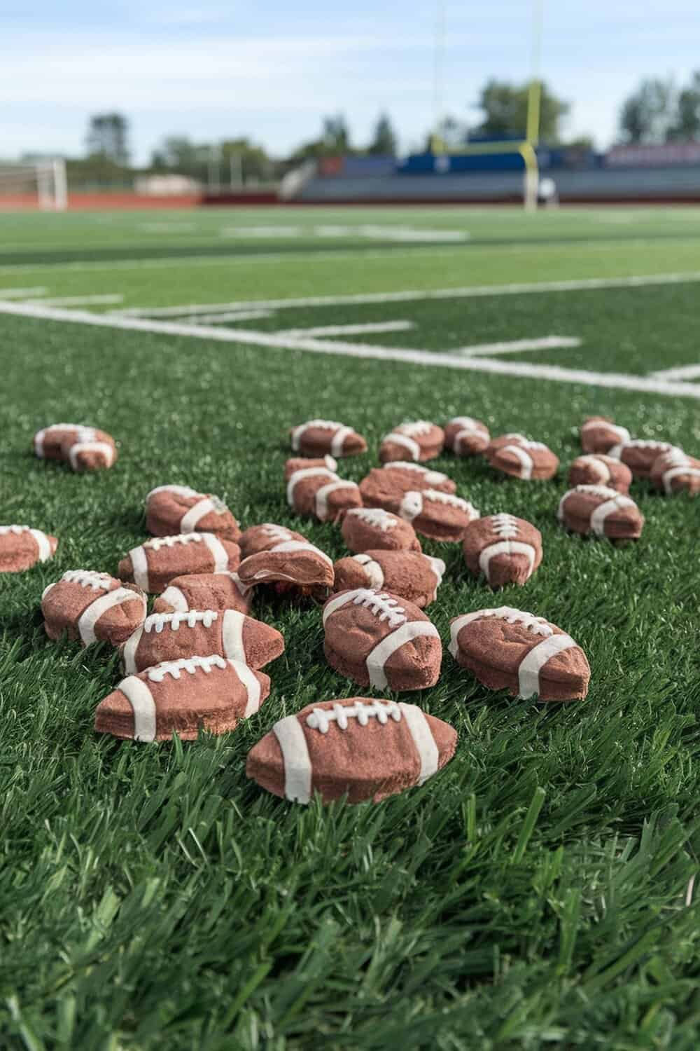 A field with small football-shaped dog treats scattered across the grass.